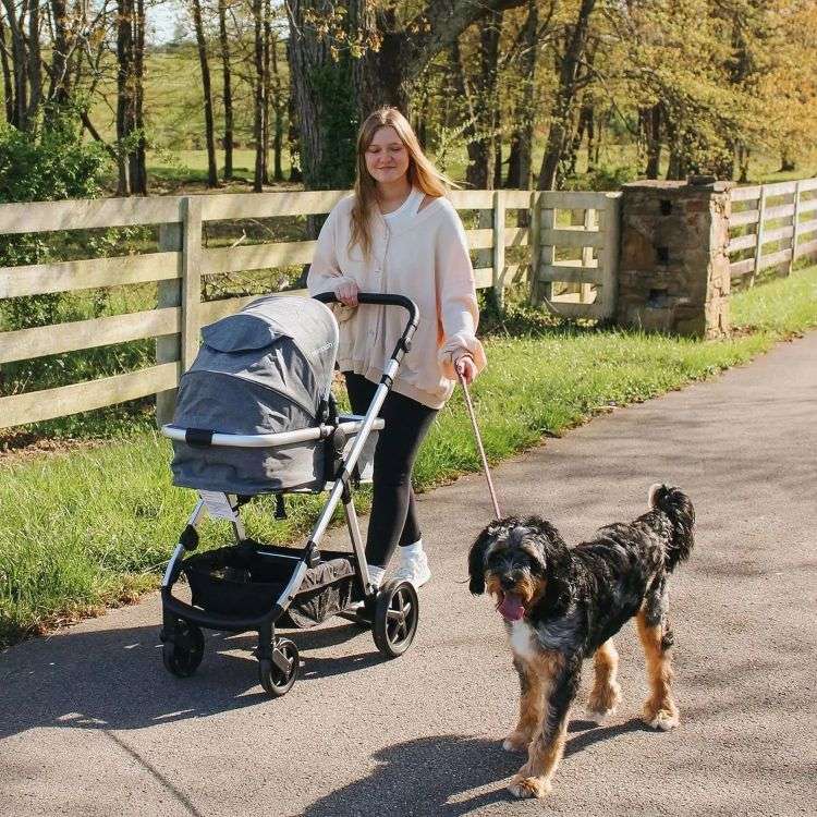 Mompush-Meteor2-Baby-Stroller-2-in-1-with-Bassinet-Mode-Compatible-with-Infant-Car-Seat-Adapter-Included-Stable-Bassinet-Stroller-Combo-Full-Size-Baby-Strollers-for-Family-Outings-5